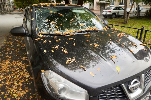 В Свердловской области существенно похолодает к выходным