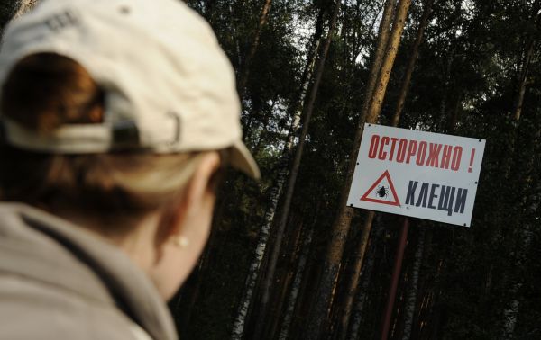Кровопийцы проснулись