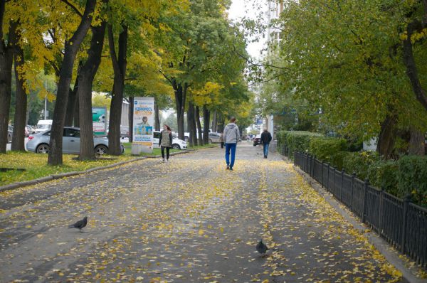 Бабье лето простоит до середины недели