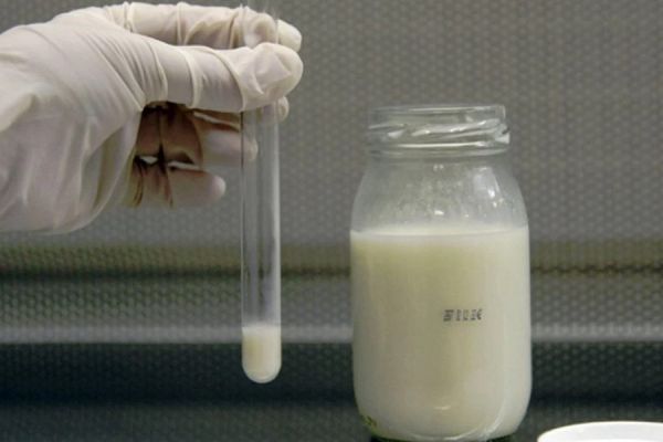 Выбираем свое, уральское. Завозная молочная продукция проиграла местной при проверке качества