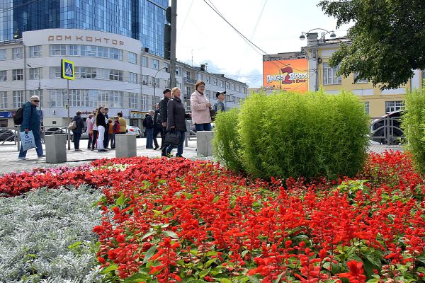 Без них город был бы пустым: названы лучшие цветники Екатеринбурга