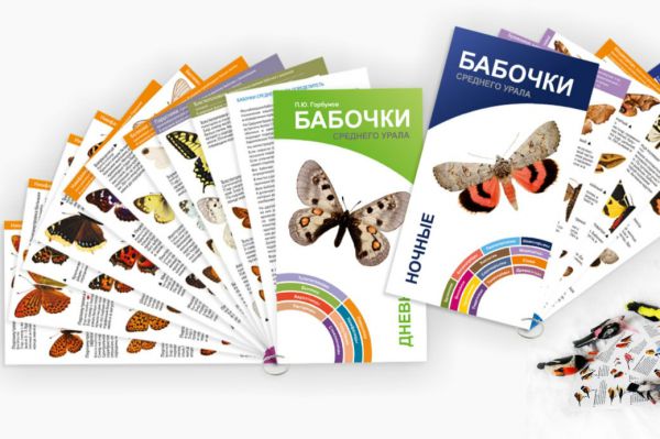 Все желающие могут помочь уральским ученым издать буклет о бабочках