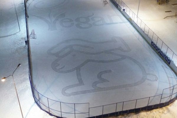 Картины из снега: екатеринбуржец рисует во дворе при помощи скребка и совка