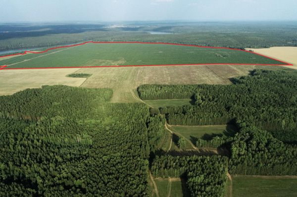 Застройкой огромного участка под Екатеринбургом займется московский девелопер