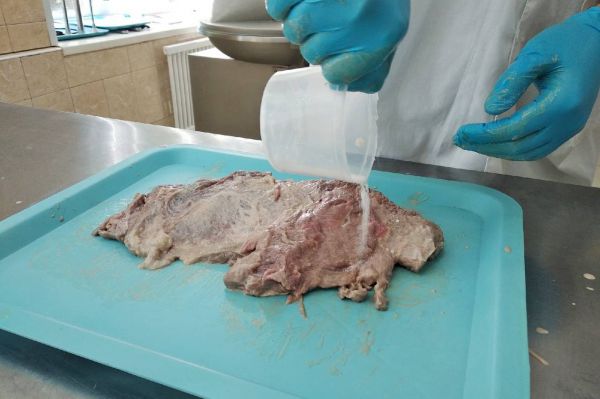 Уральский студент придумал оригинальный рецепт мясного деликатеса