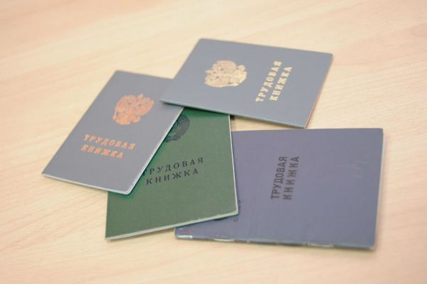 Почти 600 тысяч свердловчан выбрали электронный формат трудовой книжки