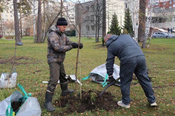 В Верхней Пышме разожгли костры рябин