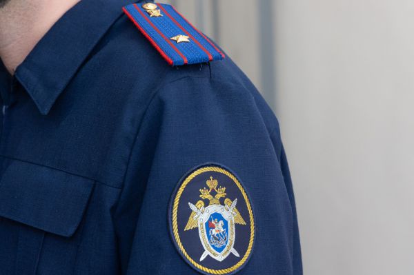 В Серове будут судить мужчину, убившего свою пожилую мать