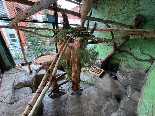 Живой уголок природы в Екатеринбурге украшает свою территорию