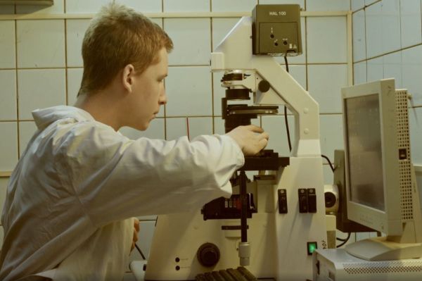 Формула успеха найдена: фильм «Как совершить научное открытие» стал главным открытием для зрителей