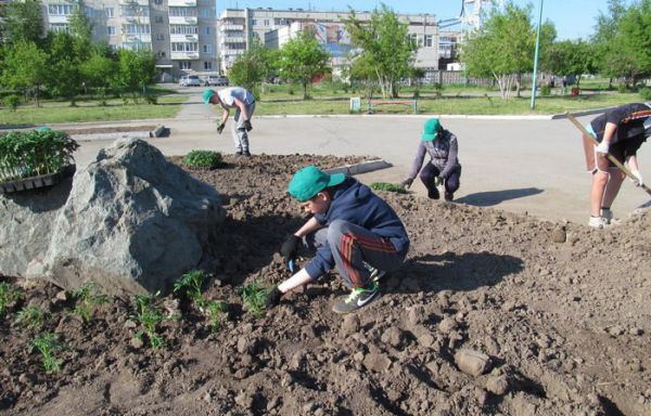 Что мешает трудовому энтузиазму подростков?