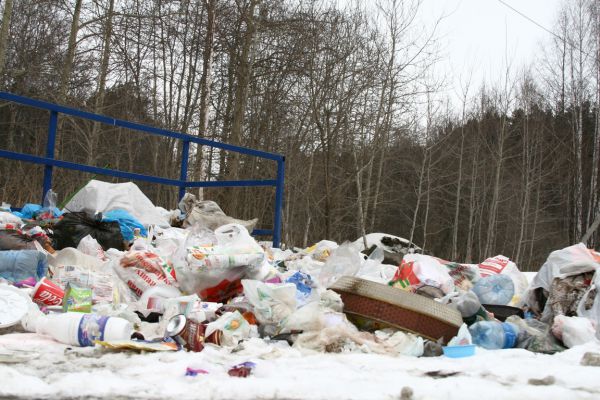 Кто займется свалками?
