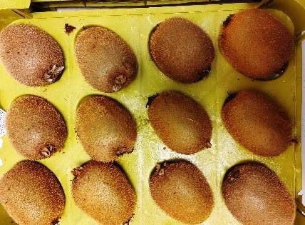 В Свердловскую область из Ирана завезли киви с «сюрпризом». Россельхознадзор объяснил, почему фрукты не запретили