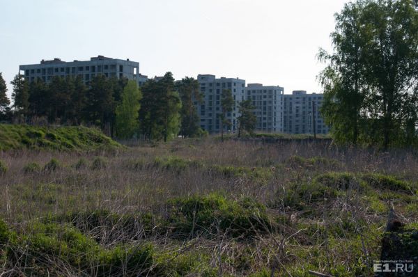 Как уберечь город от чрезмерного разрастания