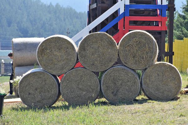 Минсельхоз РФ отметил высокие темпы заготовки кормов на Среднем Урале