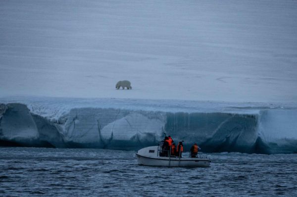 В Екатеринбурге состоится премьера документального фильма об Арктике