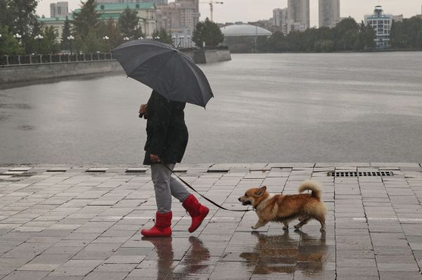Синоптики продлили срок действия штормового предупреждения в Свердловской области