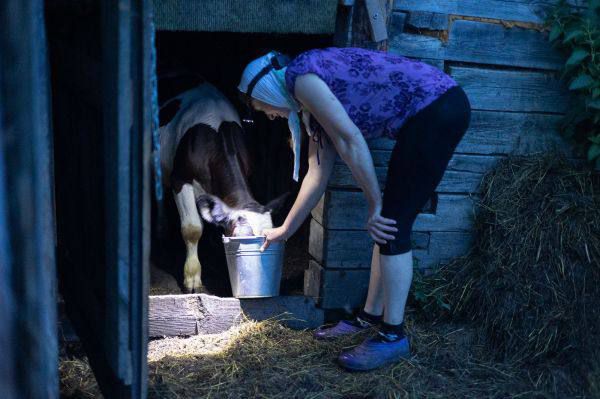 ИИ в поле и на ферме: эксперты Сбер Бизнес Софт – о том, как технологии меняют сельское хозяйство