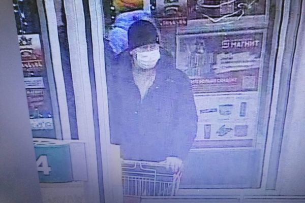 Полиция ищет автомобилиста, который избил подростка, гулявшего с собакой