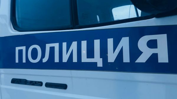 Житель Первоуральска перевел мошенникам 100 тысяч за несуществующий синтезатор