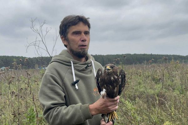 Уральские орнитологи выходили и выпустили на волю трех краснокнижных хищных птиц