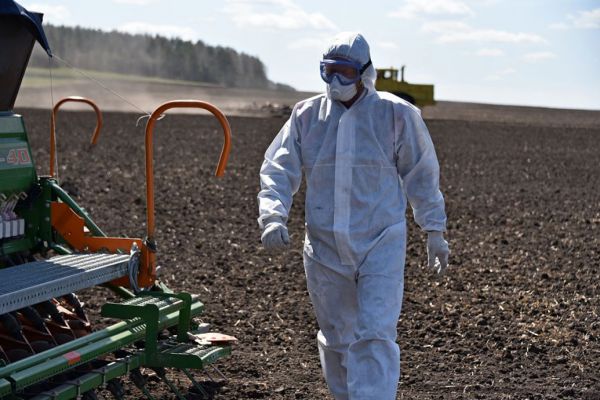 Уральцы дадут стране миллион тонн зерна, картофеля и овощей