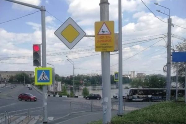 В Нижнем Тагиле обезопасили уток, переходящих дорогу – появился новый знак